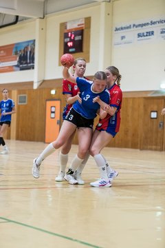 Bild 300 - wBJ TSV Ellerau - HSG Schue/We/Re : Ergebnis: 23:15
